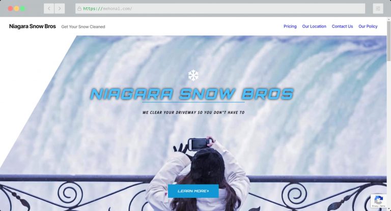 Website Portfolio Niagara Snow Bros